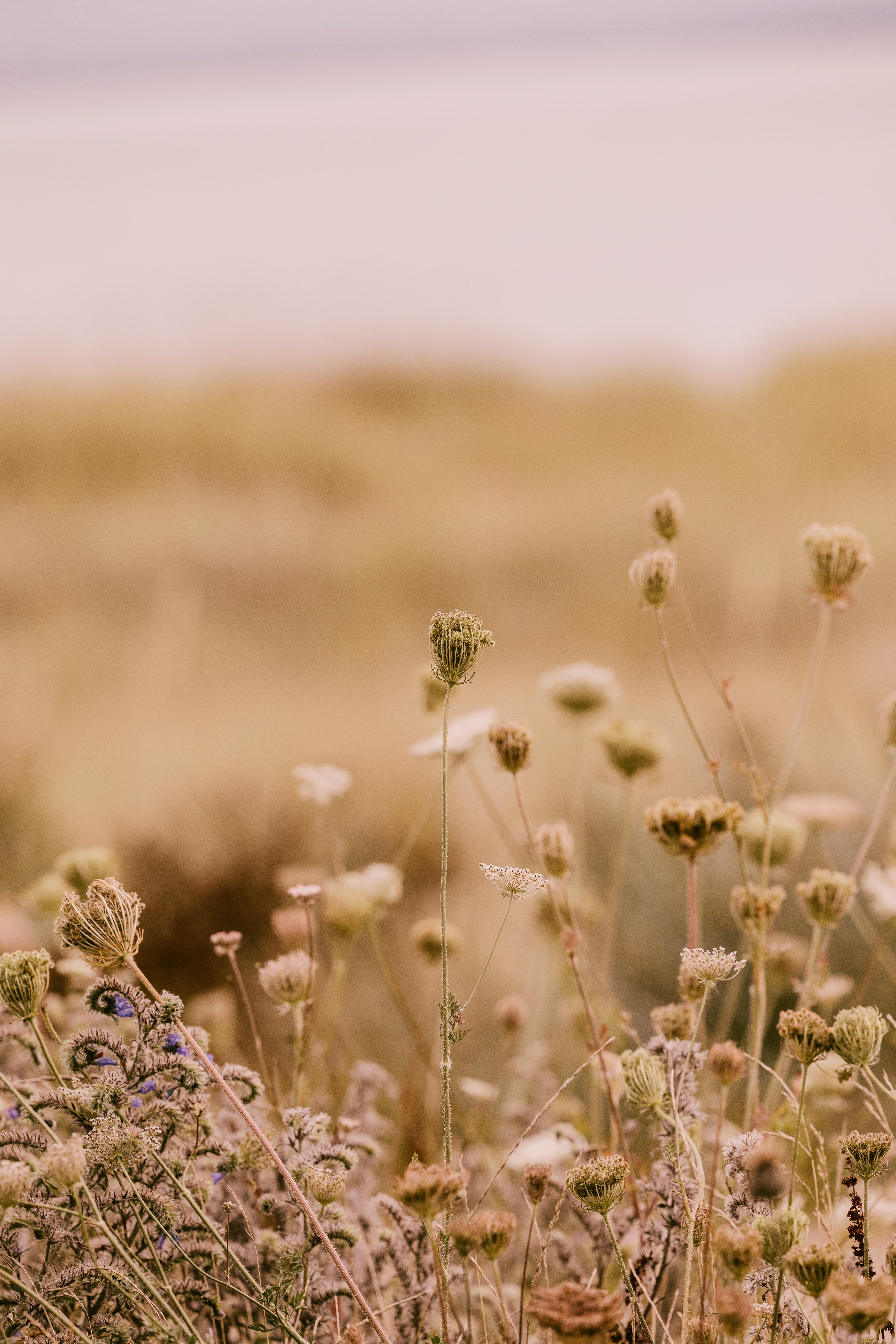 Dornoch Station酒店 外观 照片 Flowering in the desert